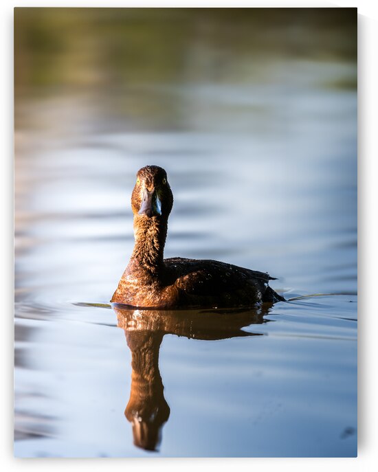 DSC 2095 Verbessert NR by Larsphotografie