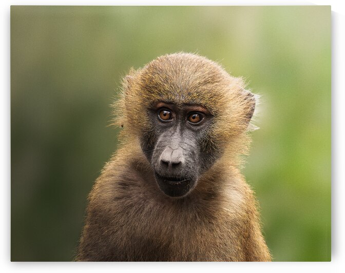 DSC 8337 Verbessert NR by Larsphotografie