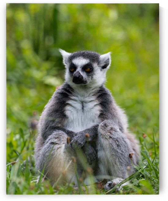 DSC 2302 Verbessert SR by Larsphotografie