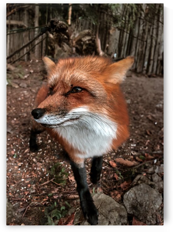 00015750 by Larsphotografie