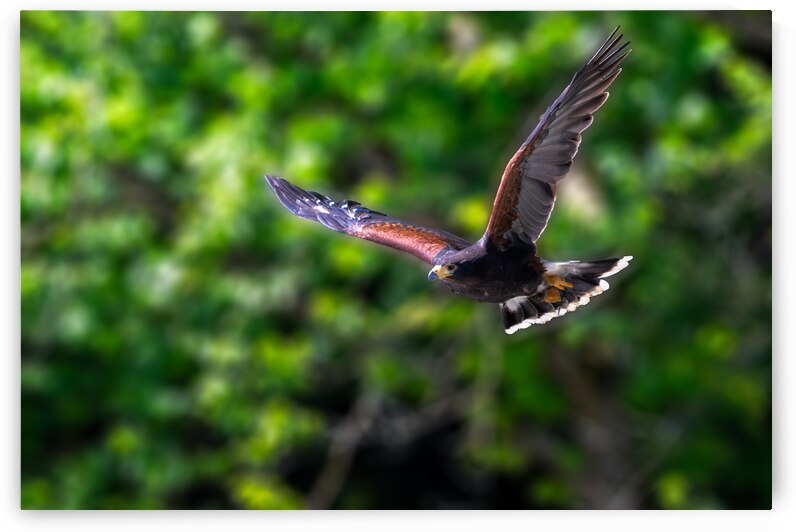 DSC 1212 Verbessert NR by Larsphotografie