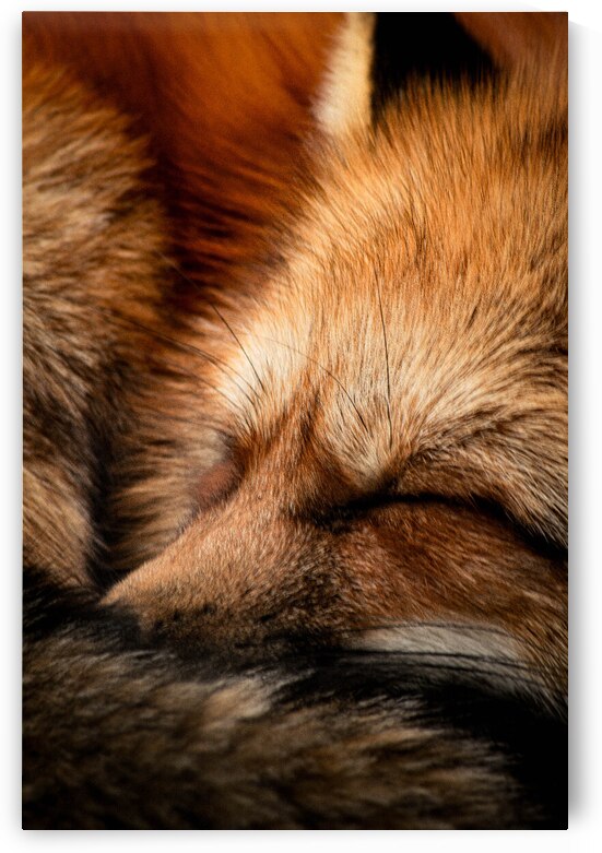 DSC 7718 Verbessrert SR by Larsphotografie