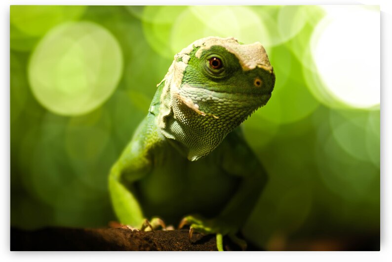 DSC 6149 Verbessert SR by Larsphotografie