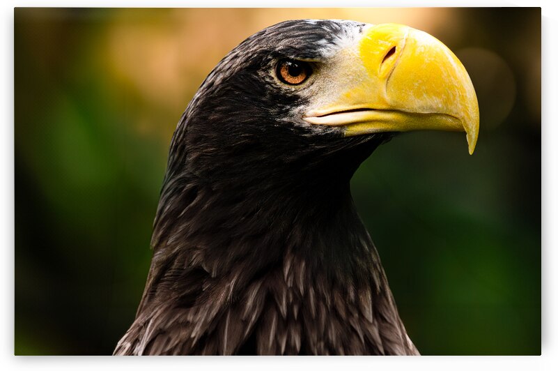 DSC 8479 Verbessert NR by Larsphotografie