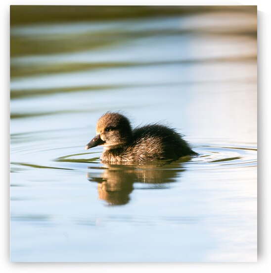 DSC 2106 Verbessert NR by Larsphotografie