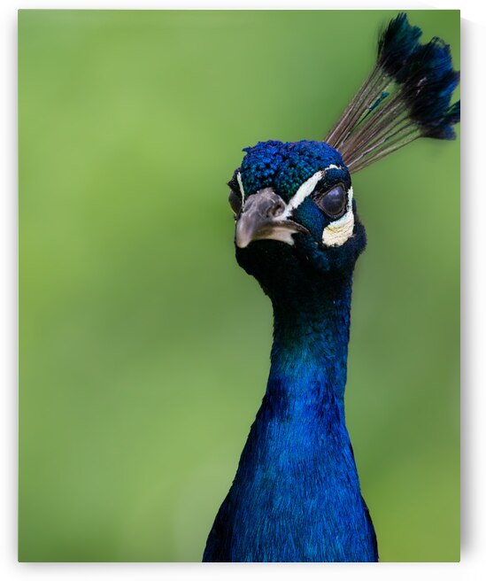 DSC 9200 Verbessert SR by Larsphotografie