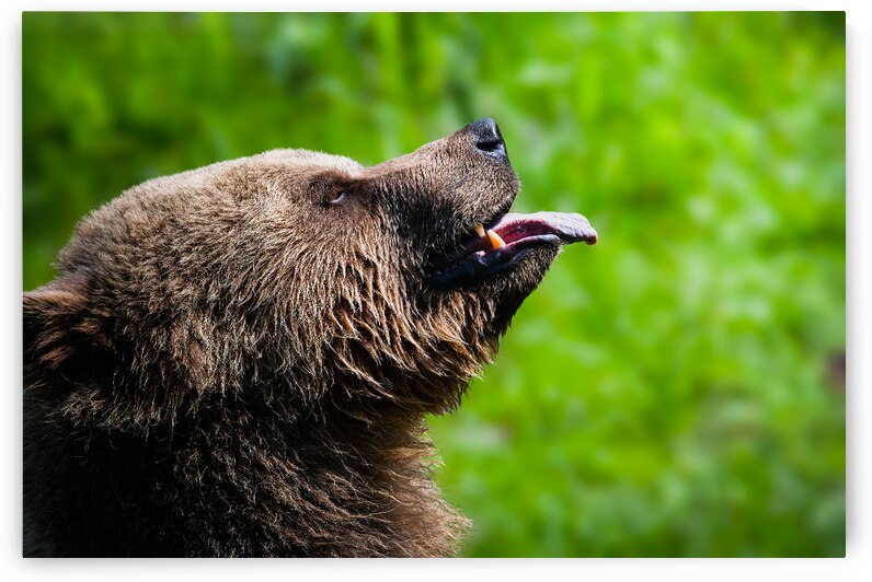 DSC 1343 Verbessert SR by Larsphotografie