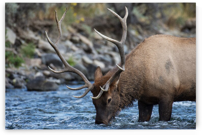  Thats Refreshing by Gary M Slane