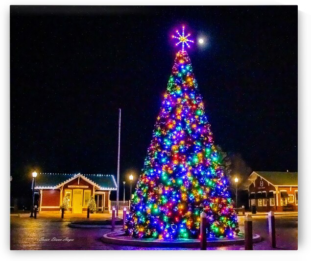 Christmas In The Valley 2-Tree by Susan Diann Photography