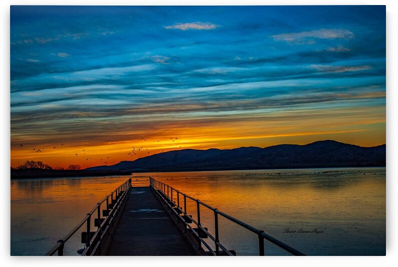 Quannah Lake Dock by Susan Diann Photography