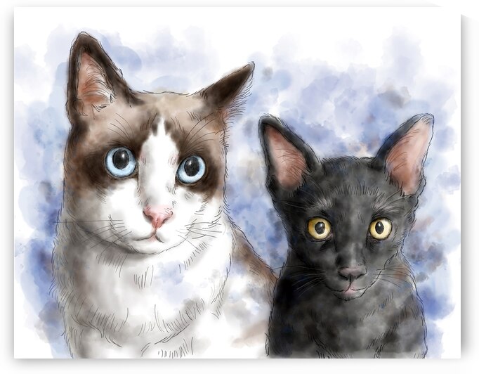 Cat pet portrait watercolor painting by Kevin Miller Photography