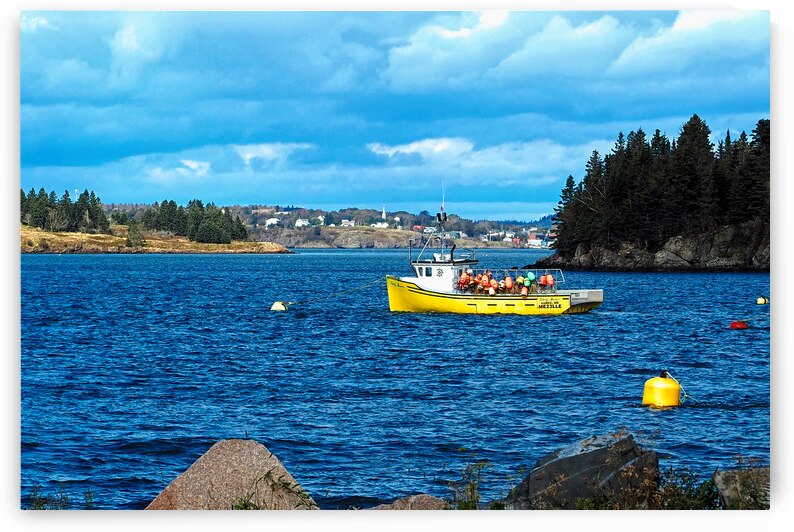 Boat of Buoys in Lubec Harbor by Bill Swartwout Photography