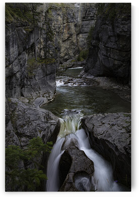 LAN 00813 by John Walborn Promenade Photos