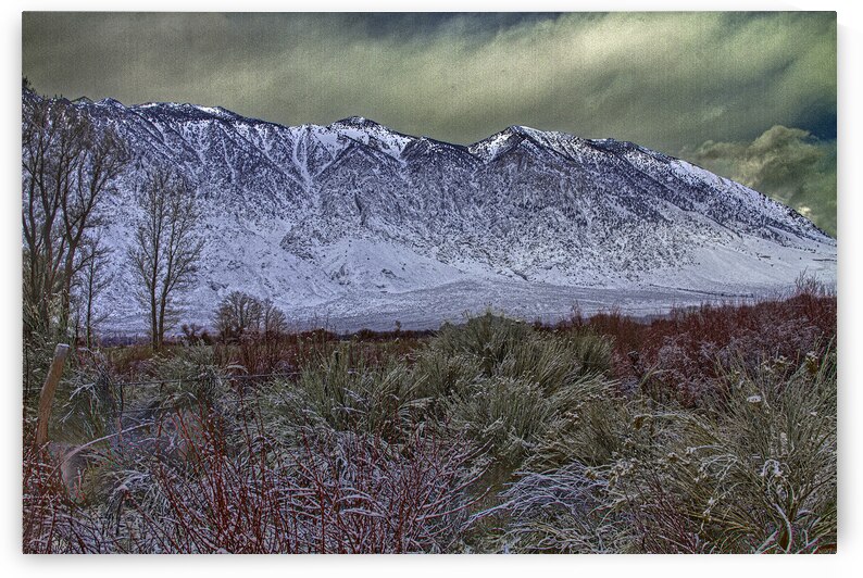 LAN 00837 by John Walborn Promenade Photos