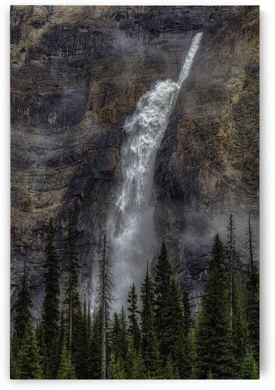 LAN 00910 by John Walborn Promenade Photos