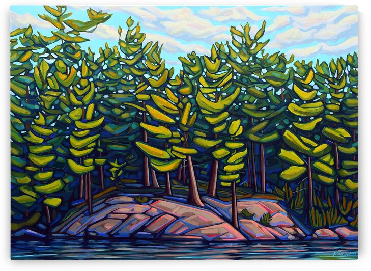 Reaching pines by Katelynn Clarey
