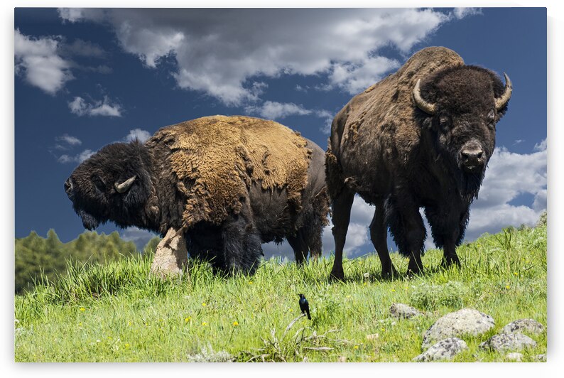 Scratch That Itch by Gary M Slane