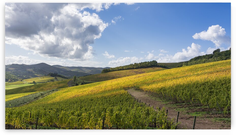 Radda in Chianti landscape vineyards in autumn. Tuscany Italy by Stefano Orazzini