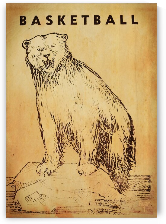 Mid 1900s Bear Basketball Art by Row One Brand