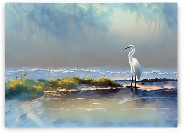 Rain At The Tidal Pool by Pabodie Art