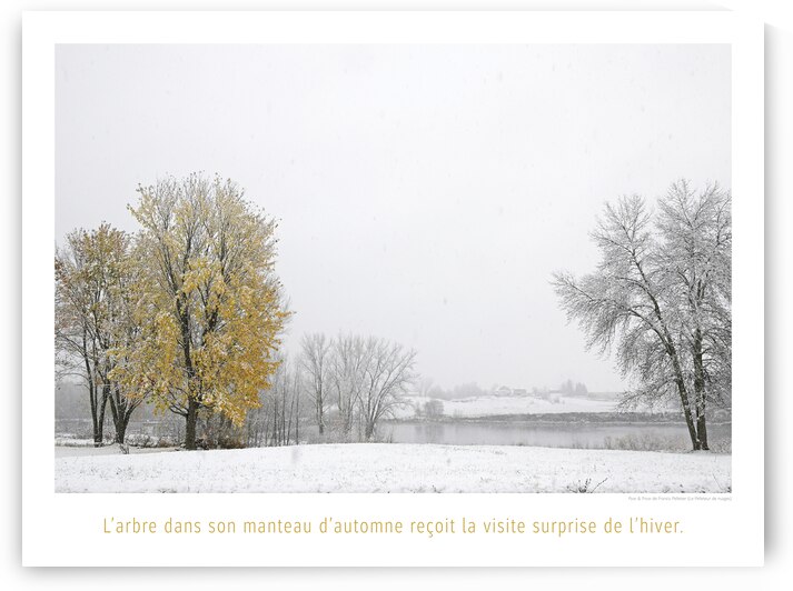 FRISSON DE SAISON by Francis Pelletier