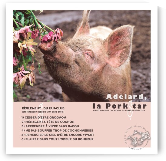 ADELARD LA PORKSTAR by Francis Pelletier