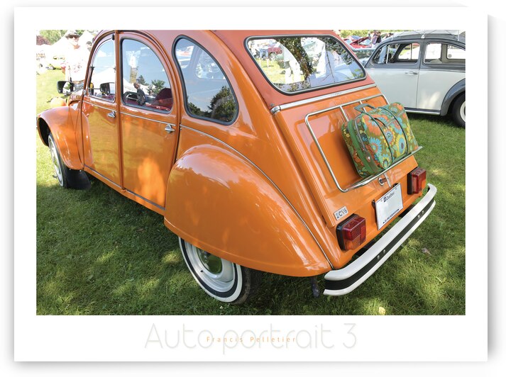 AUTO PORTRAIT 3 by Francis Pelletier