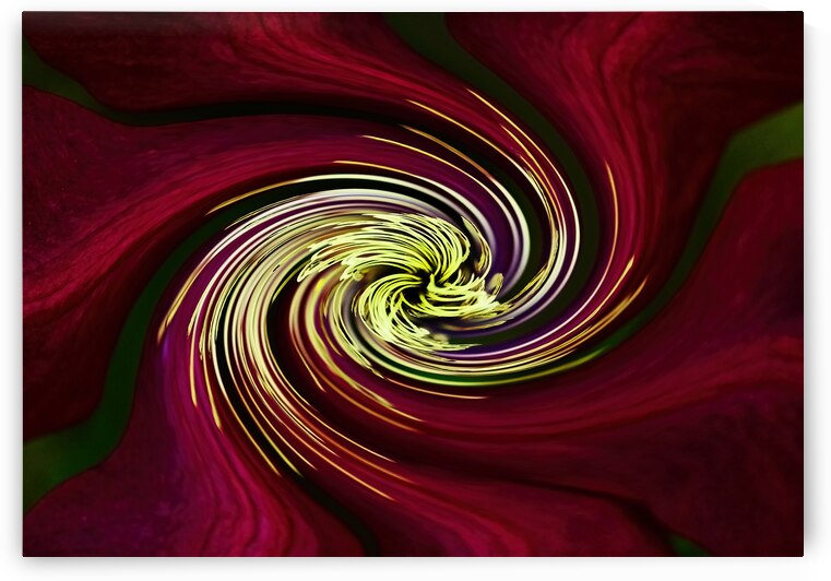Claret Red Clematis Swirl by Deb Oppermann