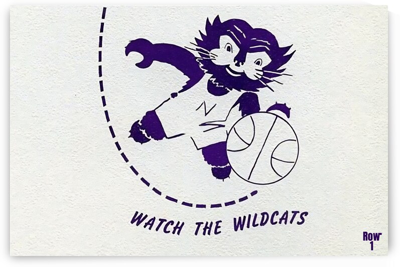 Vintage Northwestern Wildcat Basketball Cartoon Art by Row One Brand