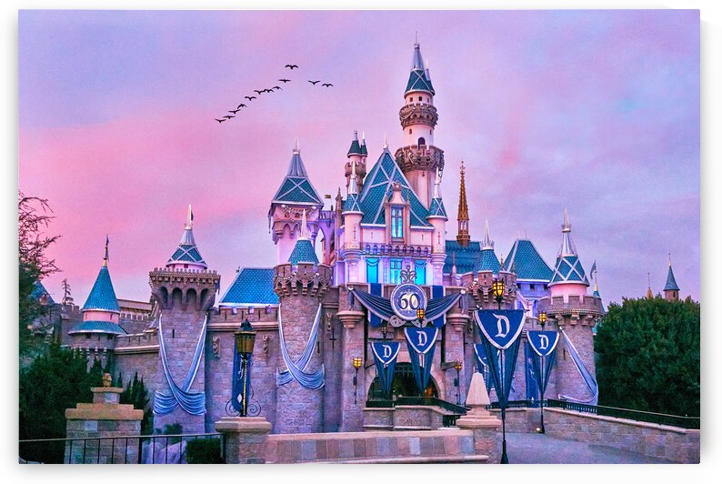 Sunset Birds over Castle by Ryan Cameron