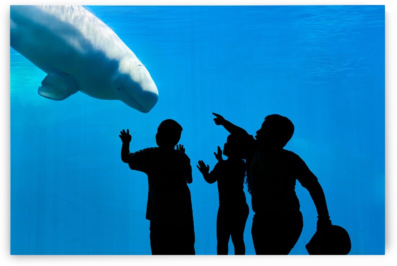 Young Curiosity by Ryan Cameron