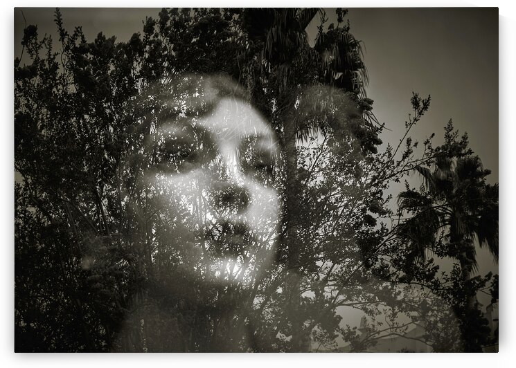 Contemplative Reflections by Ryan Cameron