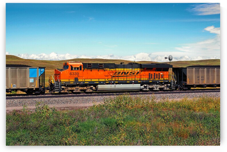 BNSF Distributive Power Unit in Coal Train by Bill Swartwout Photography