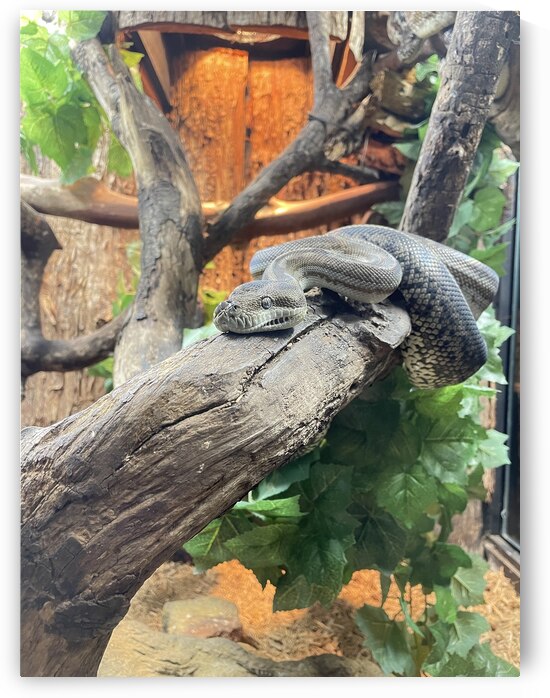 IMG 8038 by Bill Swartwout Photography