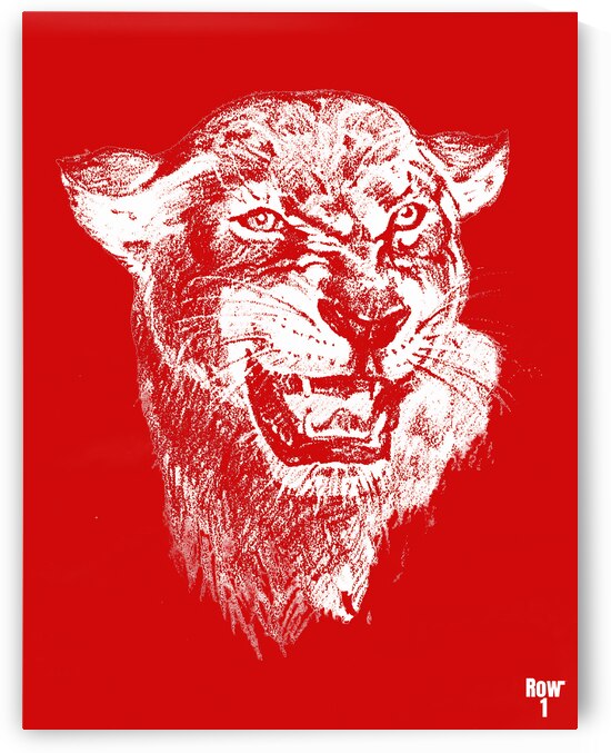 Vintage Houston Cougar Art by Row One Brand