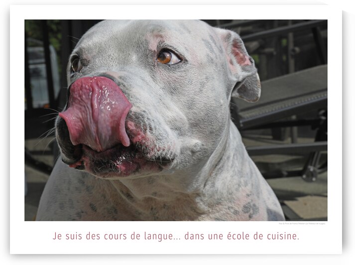 CORDON ROUGE by Francis Pelletier