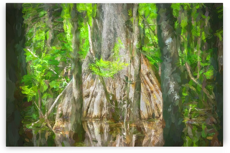 Old Growth Cypress Cypress Knees Highland Hammock X100 by Rich Franco