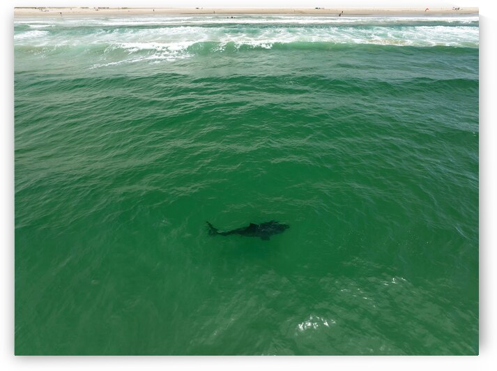 DJI 0400 gigapixel art scale 2 00x by dronesey