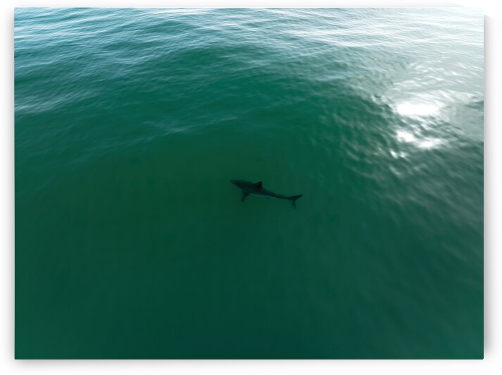 DJI 0910 gigapixel art scale 2 00x by dronesey