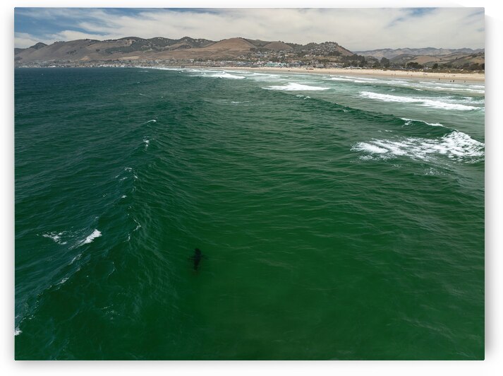 DJI 0361 gigapixel art scale 2 00x by dronesey