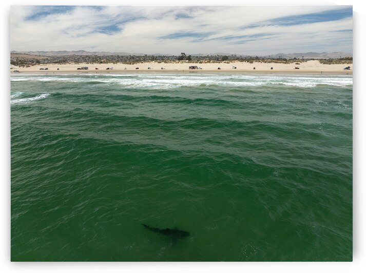 DJI 0630 gigapixel art scale 2 00x by dronesey