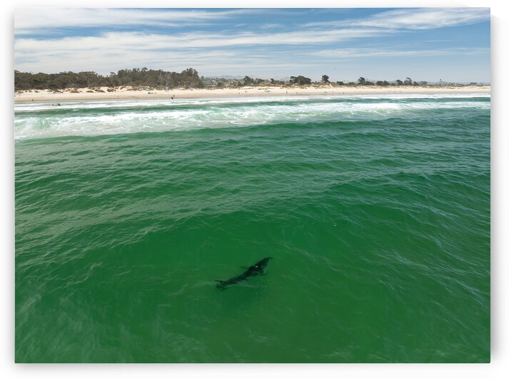 DJI 0403 gigapixel art scale 2 00x by dronesey