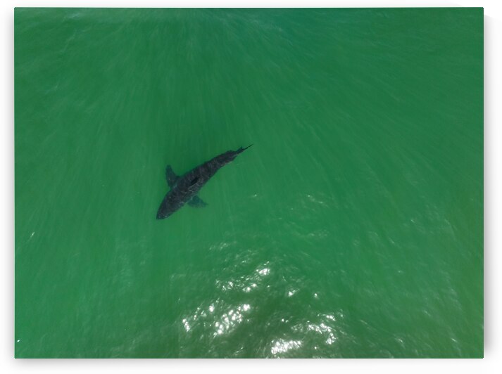 DJI 0201 gigapixel art scale 2 00x by dronesey