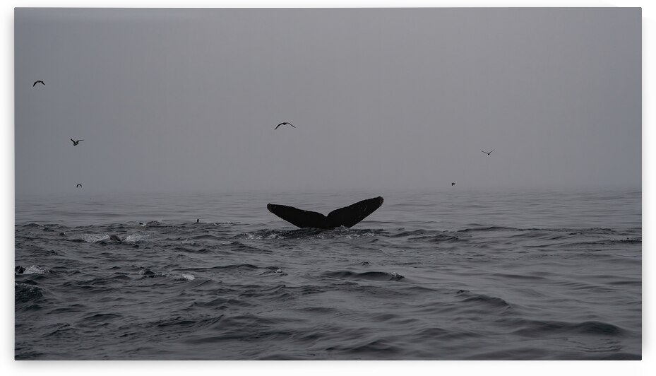 DSC00623 gigapixel art scale 2 00x by dronesey