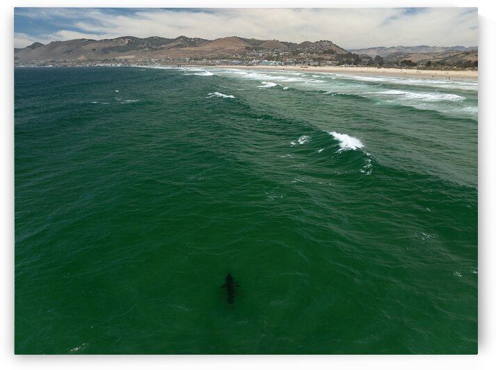 DJI 0351 gigapixel art scale 2 00x by dronesey