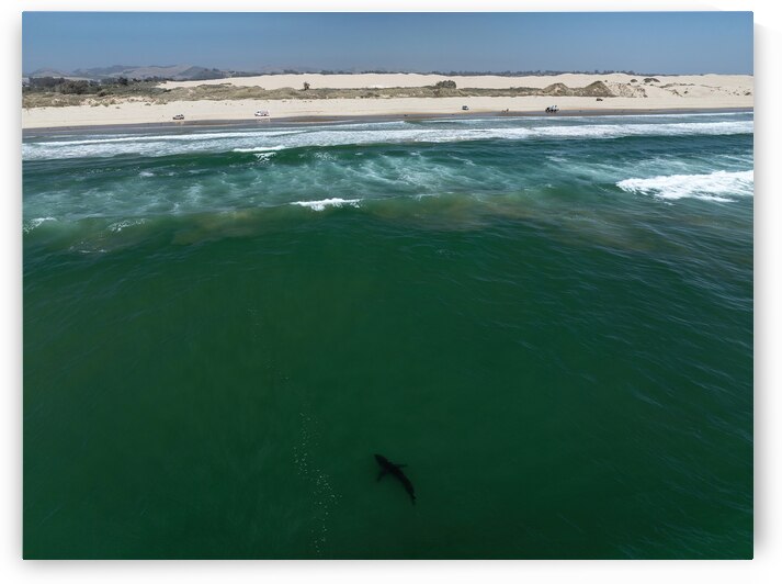 DJI 0103 gigapixel art scale 2 00x by dronesey