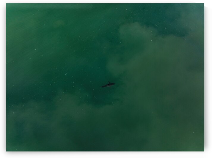 DJI 0869 gigapixel art scale 2 00x by dronesey