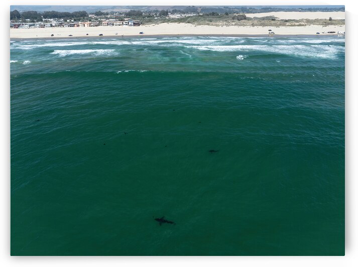 DJI 0234 gigapixel art scale 2 00x by dronesey