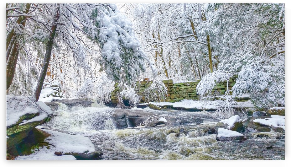 G04 Fresh Snow Cotton Hollow by Kevin Savage