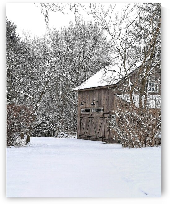 G14 Winter Serenity by Kevin Savage